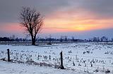 Snowscape Sunrise_13520